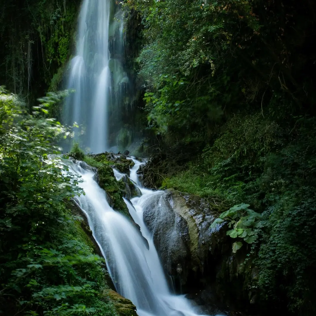waterfalls between forest