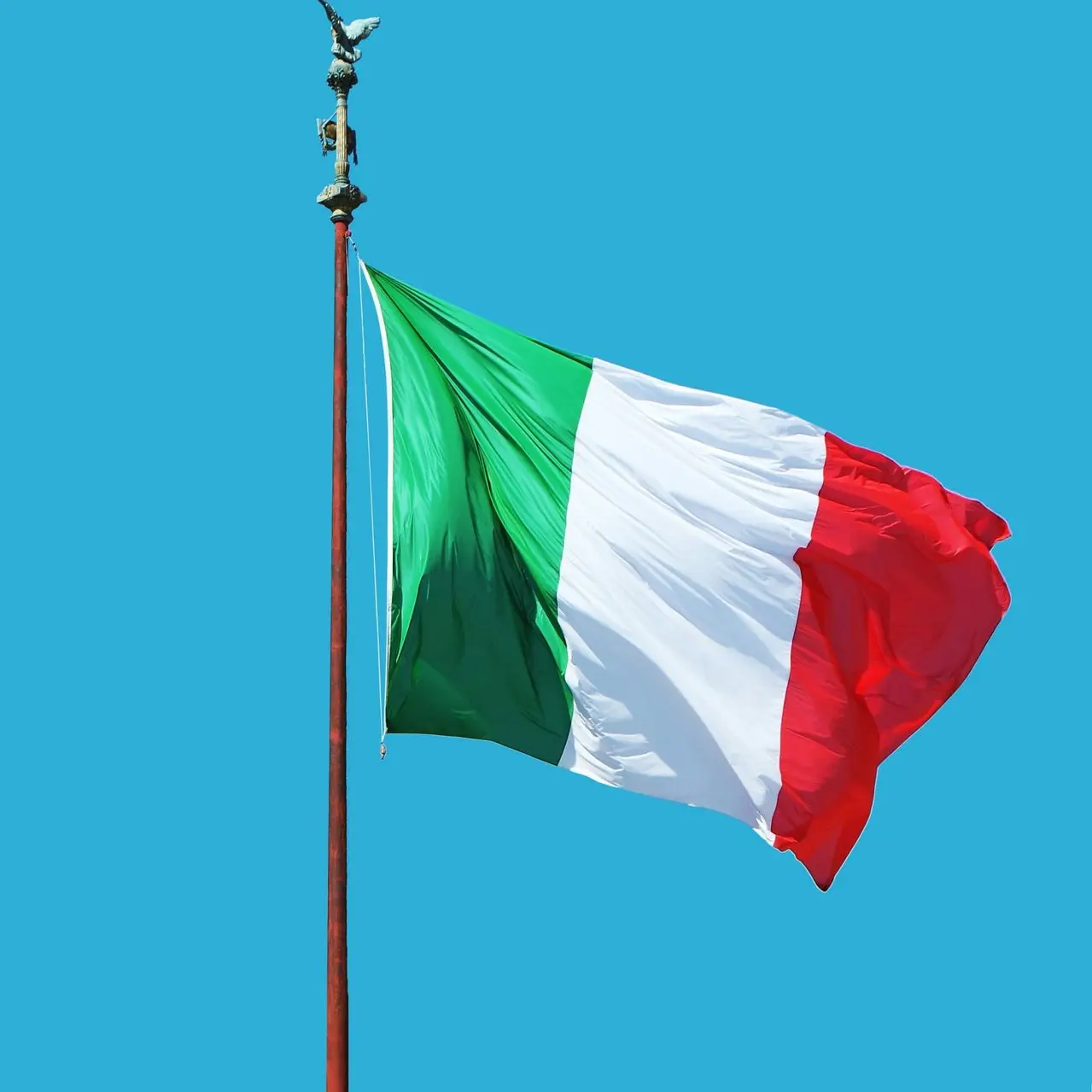 white, red, and green flag